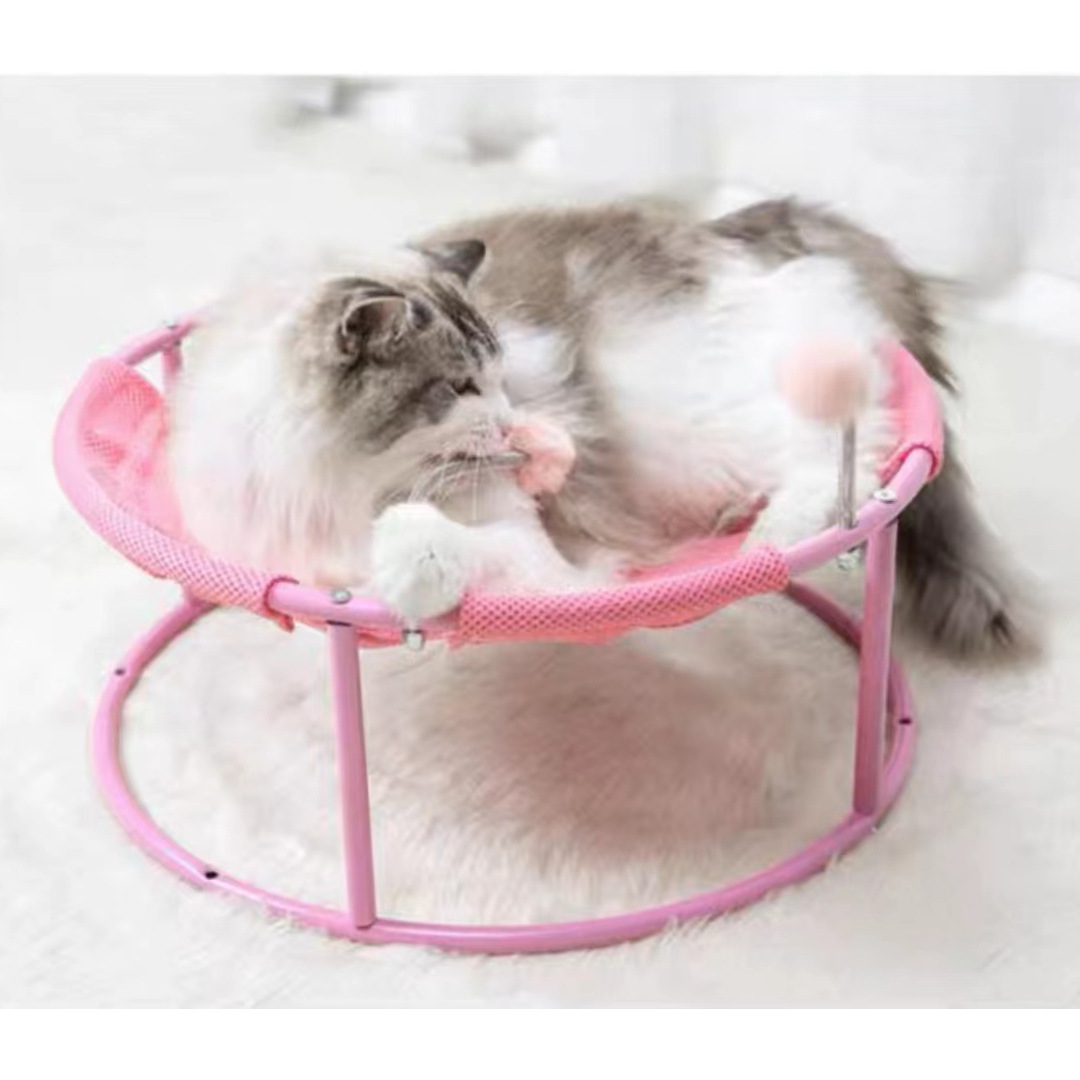 cat bed in USA
